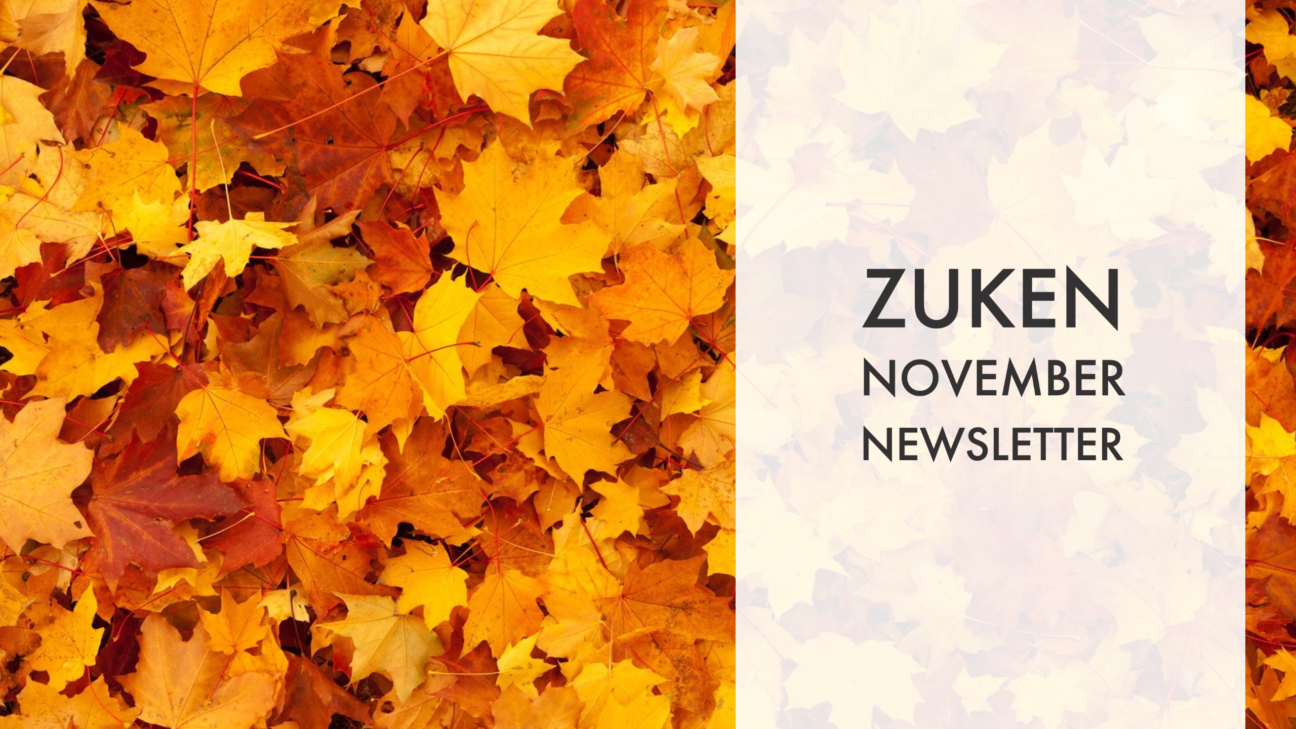November 20 Newsletter.png